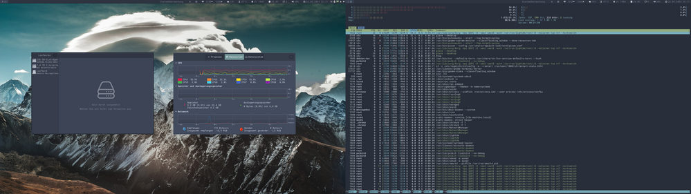 Laufwerke + Prozesse + htop