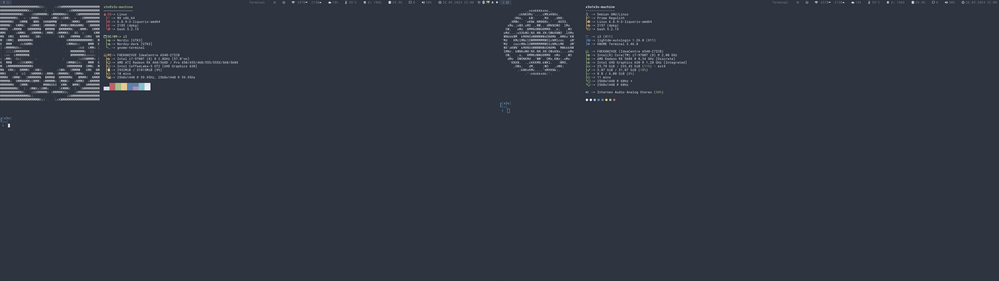 Neofetch + Fastfetch